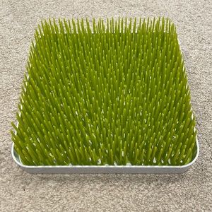 Boon Grass